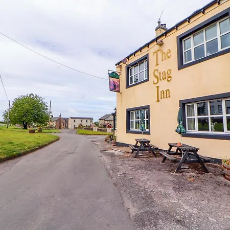 The Loft The Stag